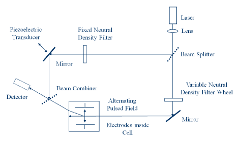 New advances in the Zeta Potential measurements of proteins